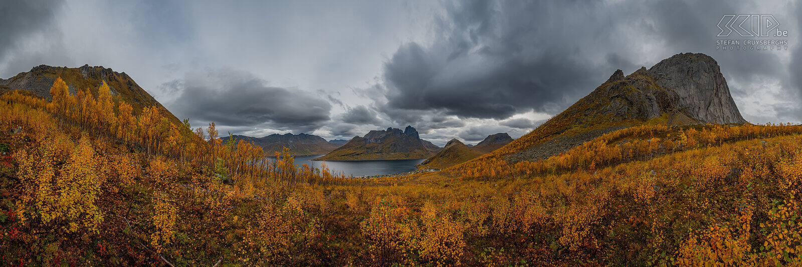 Norway - Senja - Fjordgard - Hesten trail Panorama image with beautiful autumn colors from the start of the ascent of the Hesten, a mountain that offers a fantastic view of the surrounding fjords and the famous rock peak of the Segla. The trail starts from the village of Fjordgard Stefan Cruysberghs